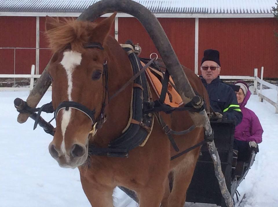 Ilola Maatilamatkailu Valkeakoski Esterno foto